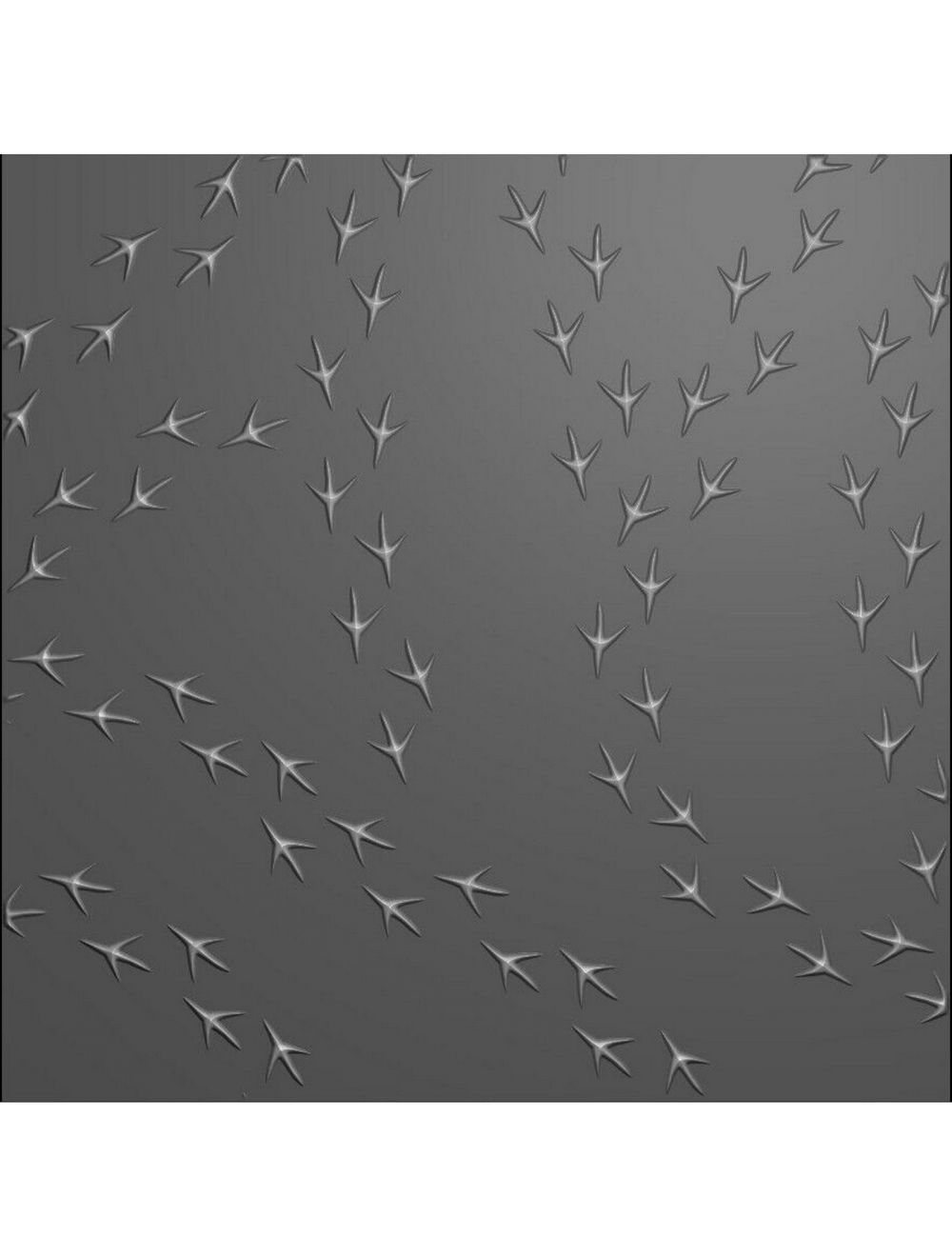 Nellie's Choice - 3D Embossing Folder Birdfeet