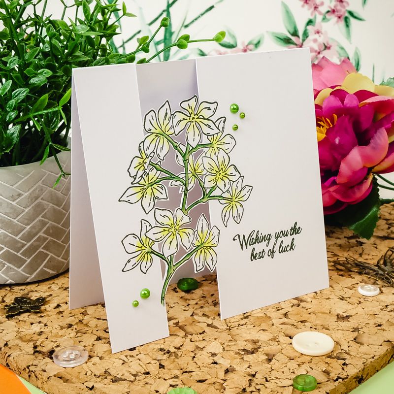 For The Love Of Stamps - Botanical Beauties - Jasmine A6 Stamp Set