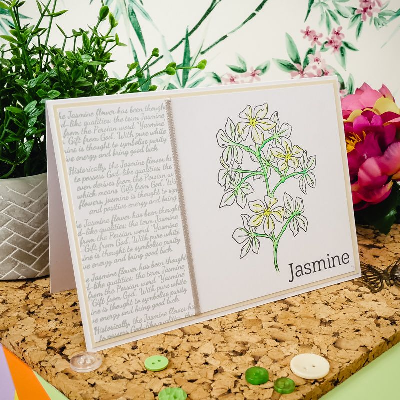 For The Love Of Stamps - Botanical Beauties - Jasmine A6 Stamp Set