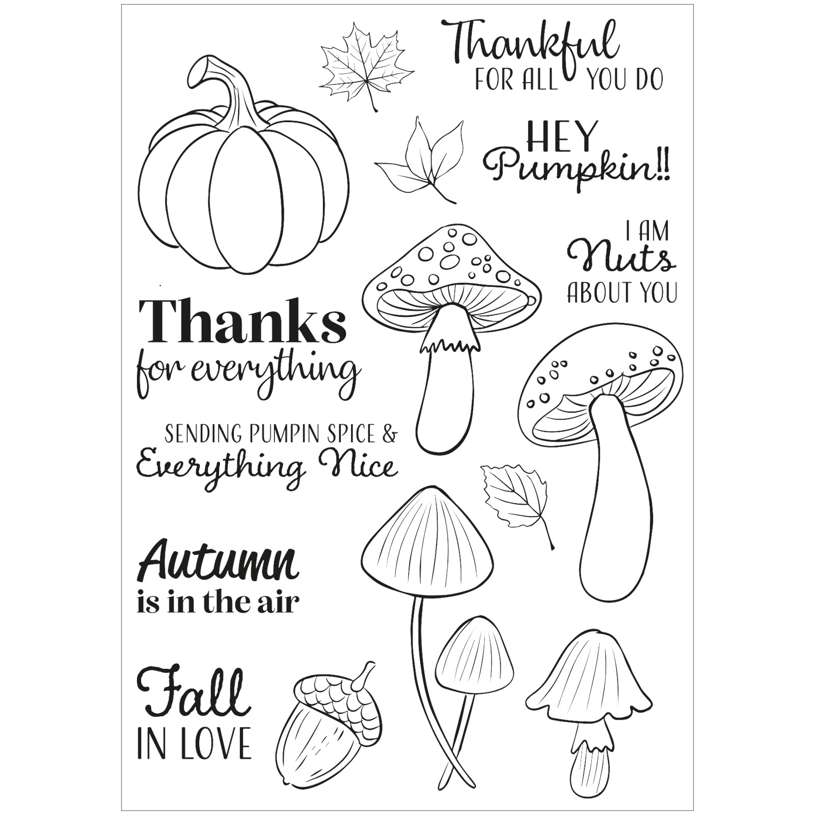Vaessen Creative • Clear Stamps Hey Pumpkin 16pcs