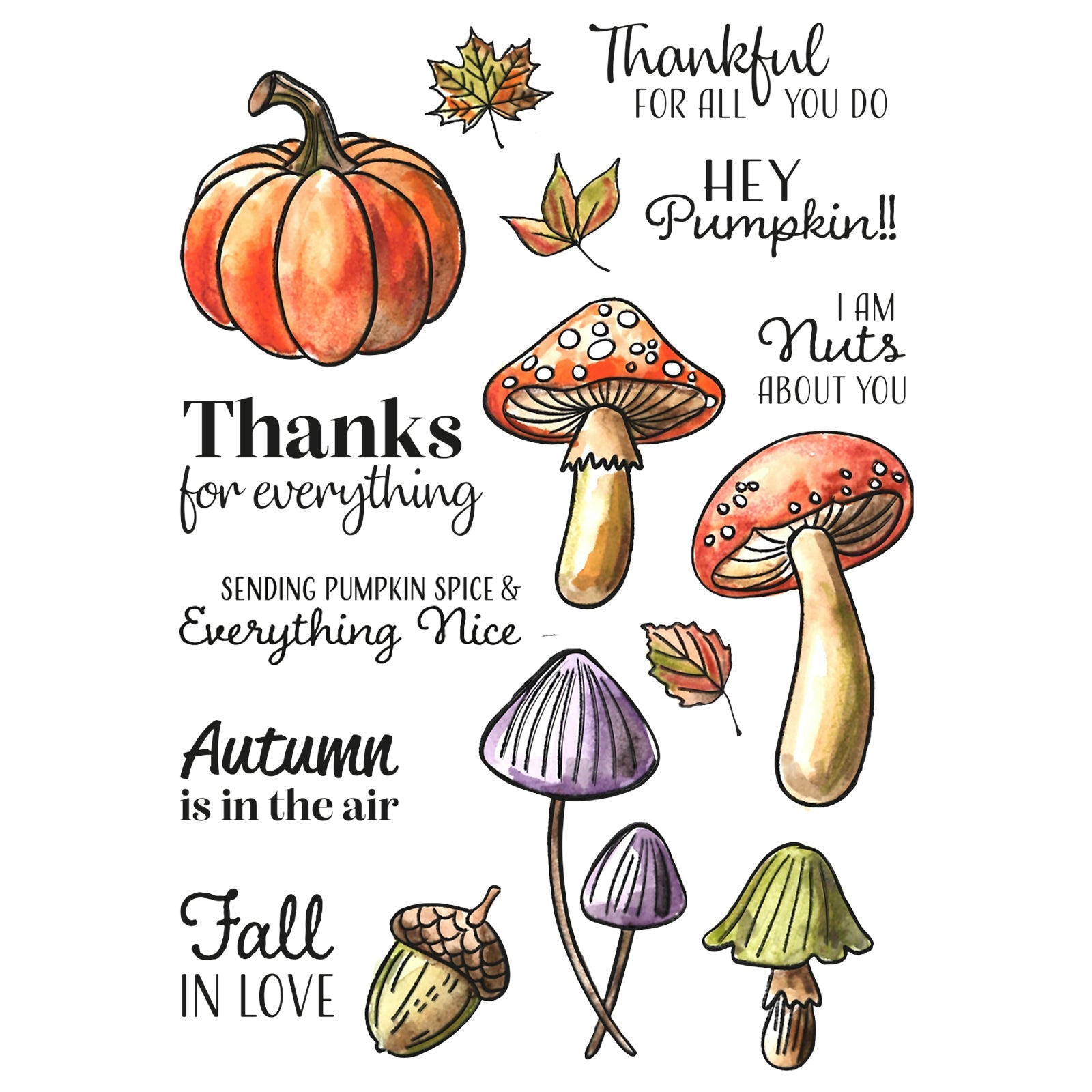 Vaessen Creative • Clear Stamps Hey Pumpkin 16pcs