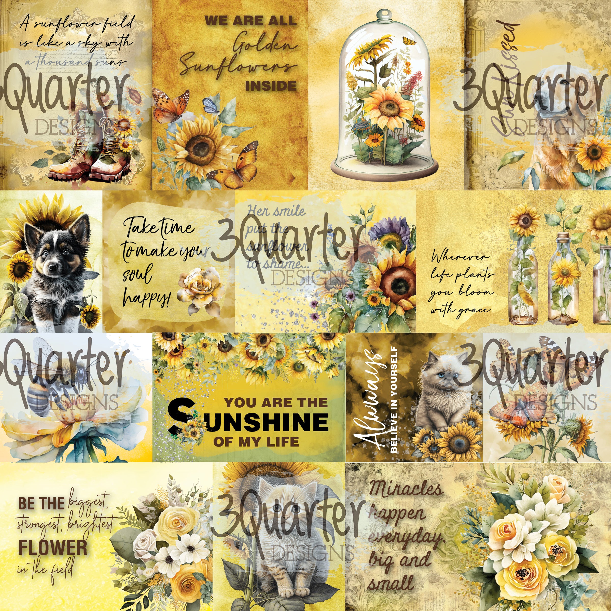 Sunflower Elixir 8x8 pack