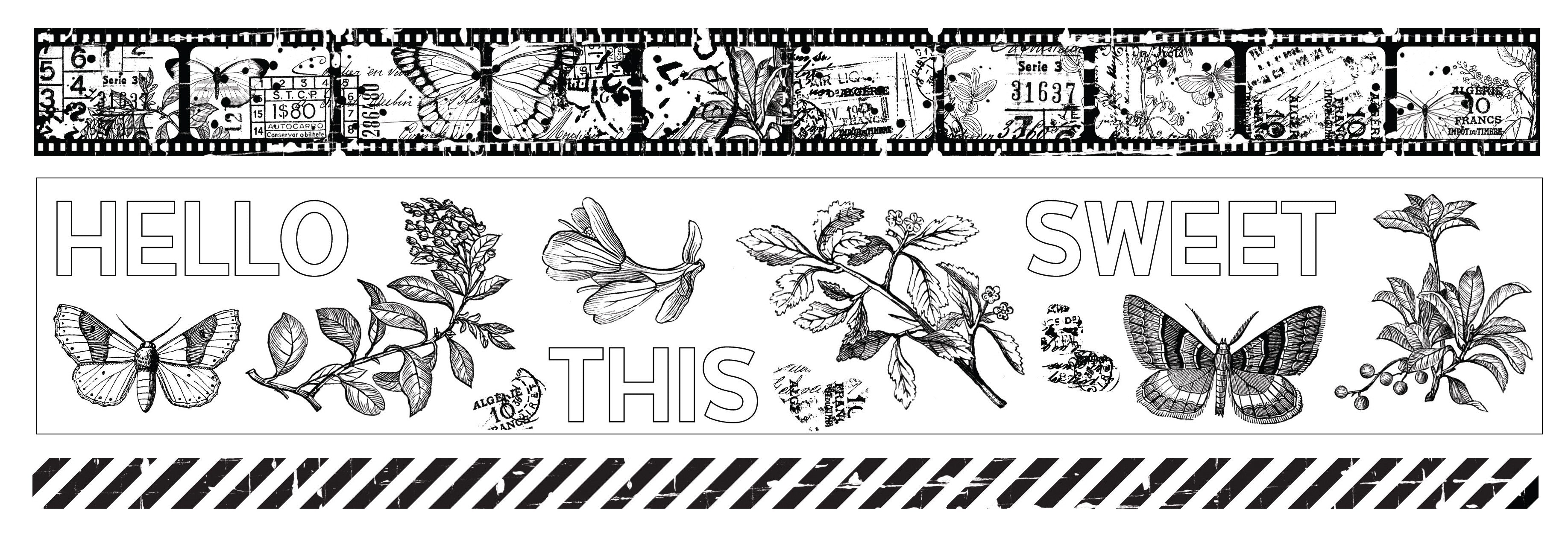 Arden Creative Studio Field Notes PET Tape Set