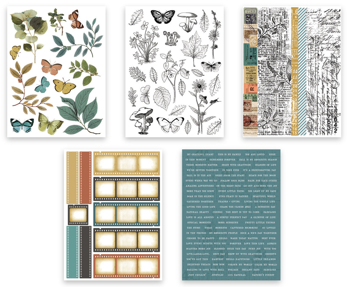 Arden Creative Studio Amber Ledgers Sticker Book