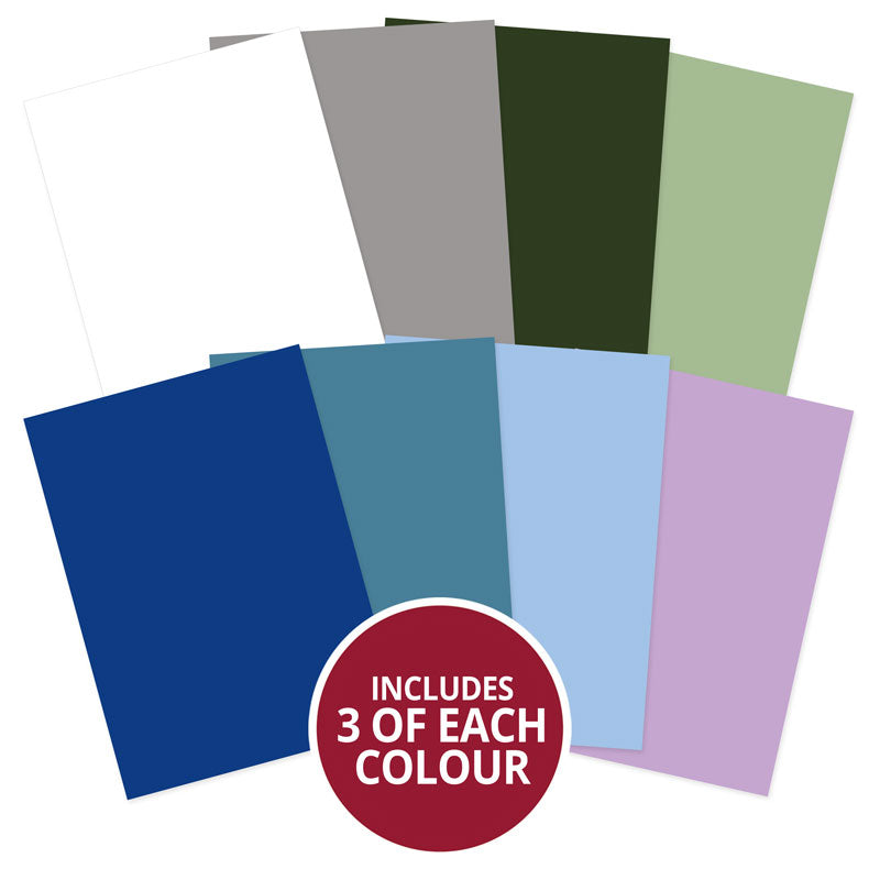 Frosted Dreams Adorable Scorable Selection