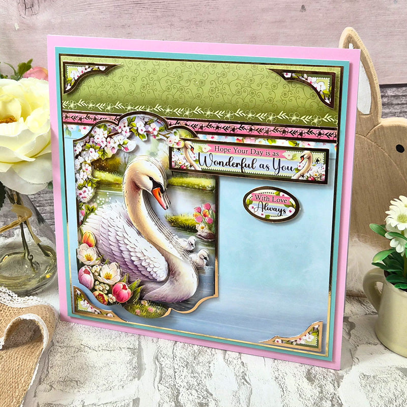Spring Cheer Adorable Scorable Selection