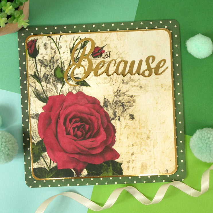 Adorable Scorable Designer Card Packs - Gothic Rose