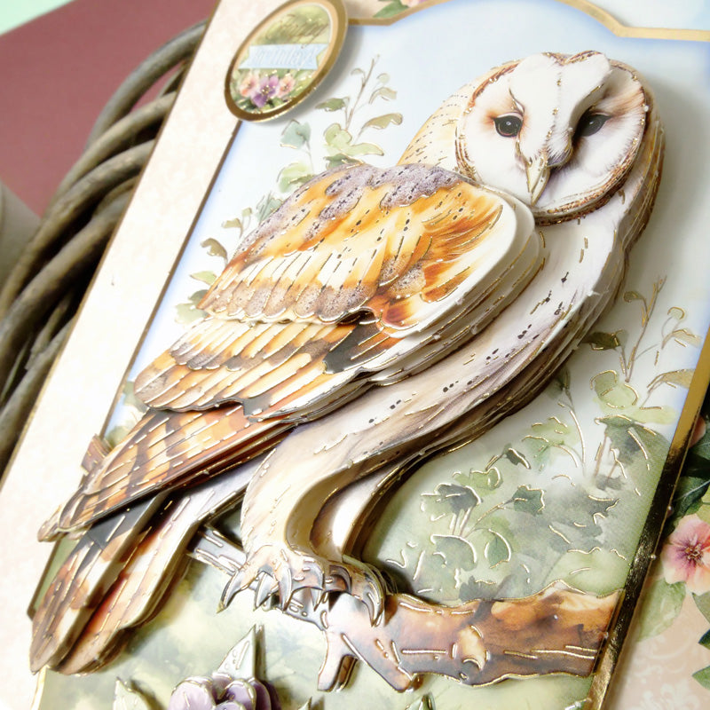 Beautiful Birds Deco-Large Set - Beautiful Barn Owl