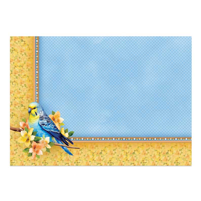 Beautiful Birds Deco-Large Set - Budgie Blossoms