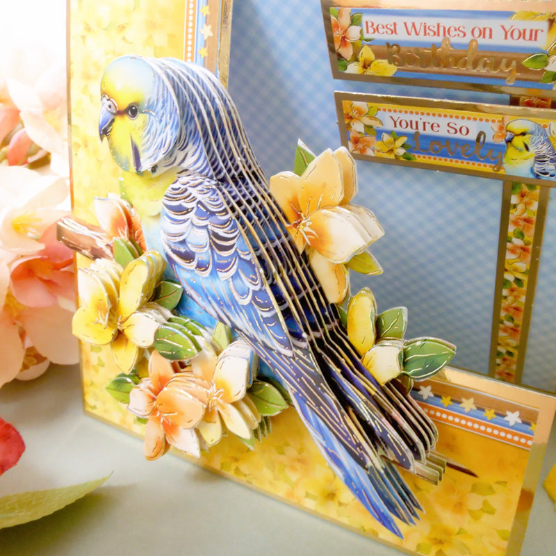 Beautiful Birds Designer Deco-Large Collection