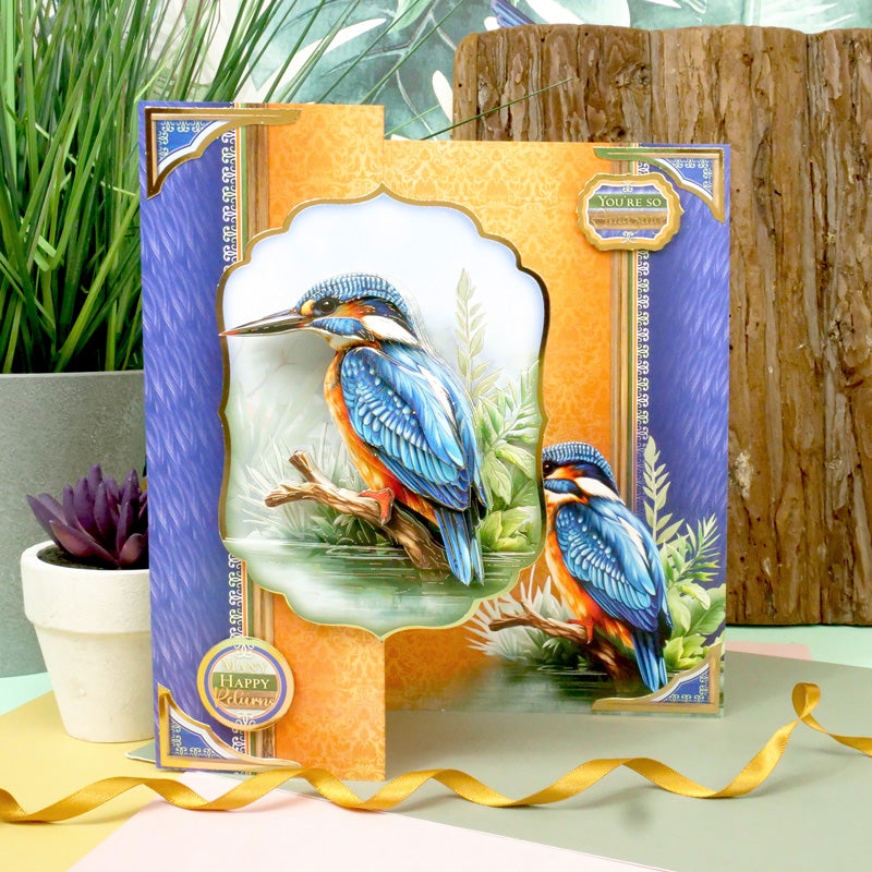Beautiful Birds Deco-Large Set - Colourful Kingfisher