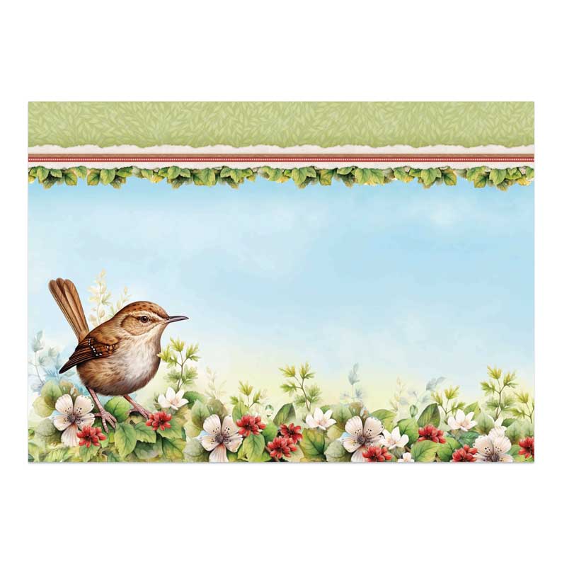 Beautiful Birds Deco-Large Set - Wee Wren