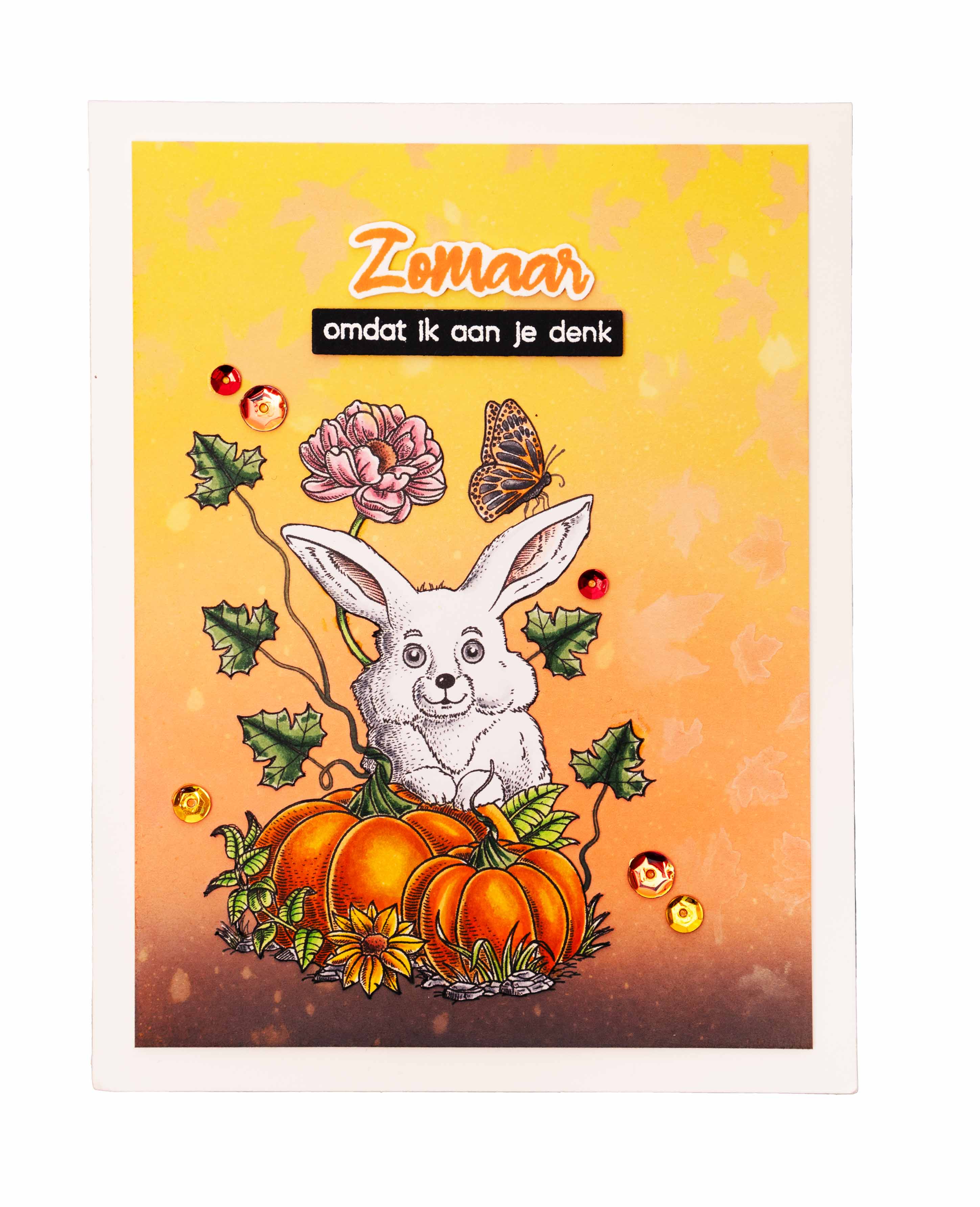 BL Clear Stamp Cute Rabbit By Laurens 89x64x3mm 1 PC nr.535