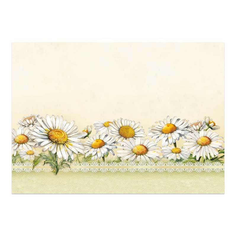 In Full Bloom Deco-Large Set - Sweet Like Daisies