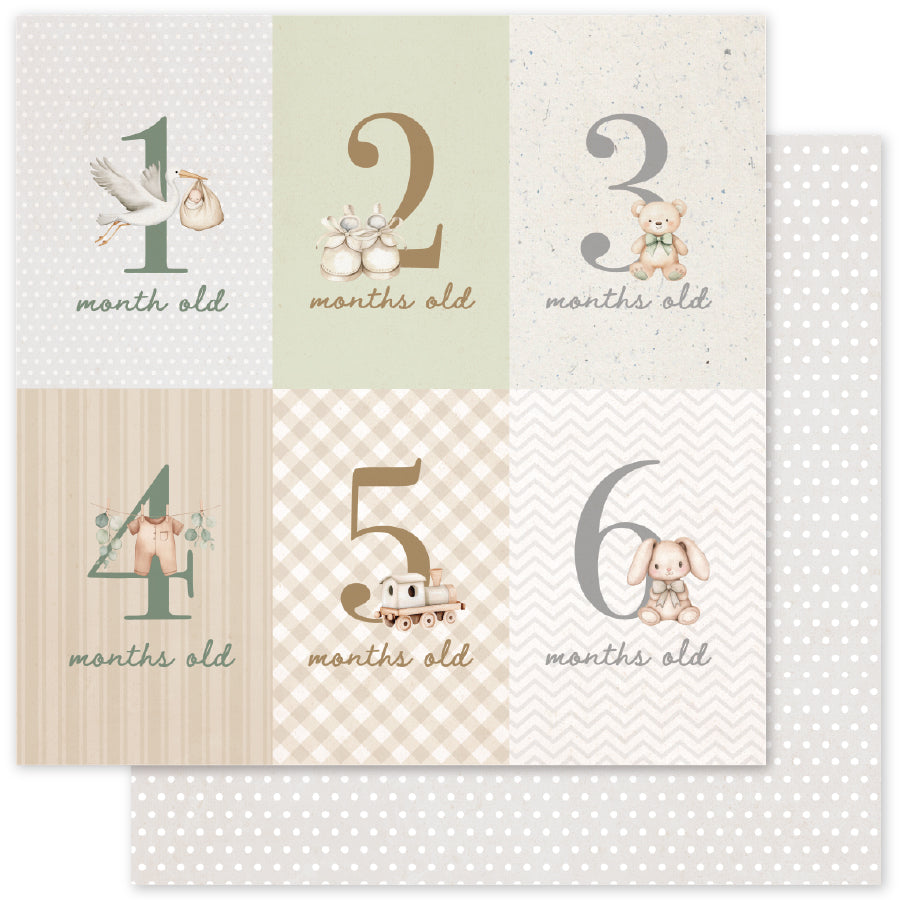 Boho Baby Basics 6x6 Paper Collection 35098