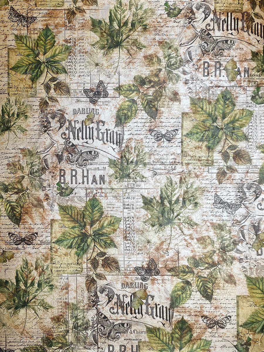 Deluxe Cabinet Of Curiosities Paper Pearl-Copper A4 5/Pkg