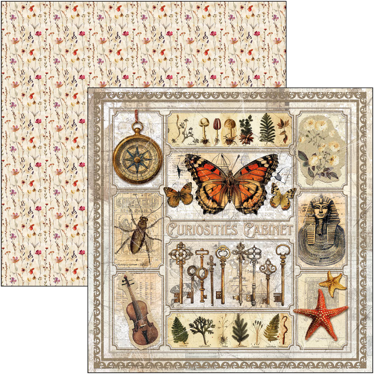 Cabinet Of Curiosities Pad 8"x8" 12/Pkg