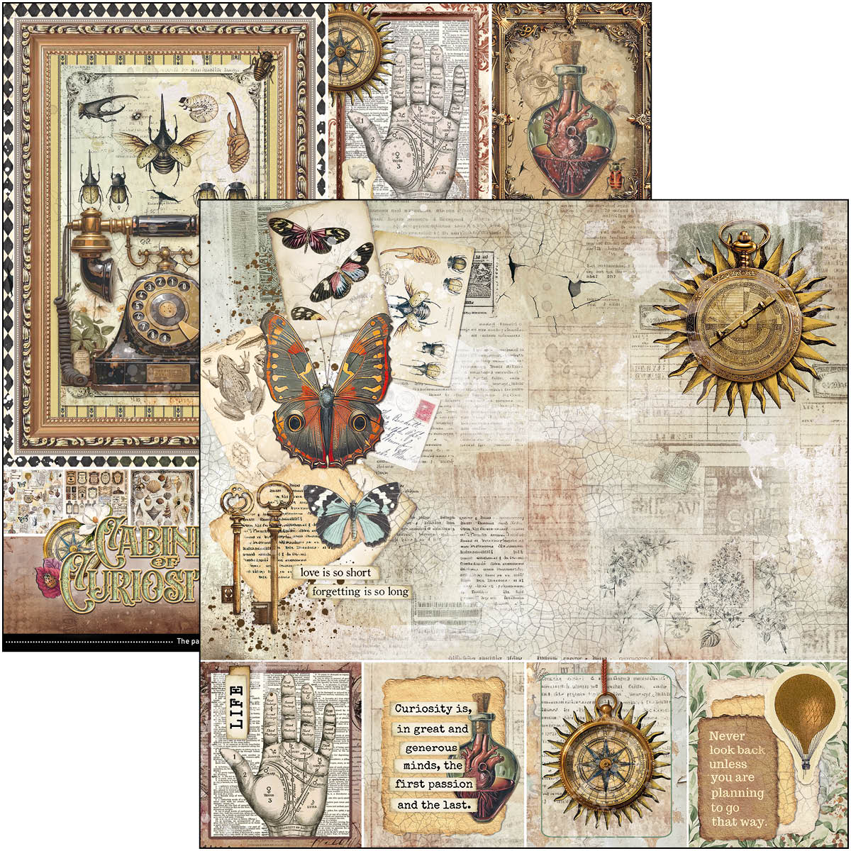 Cabinet Of Curiosities Paper Pad 12"x12" 12/Pkg