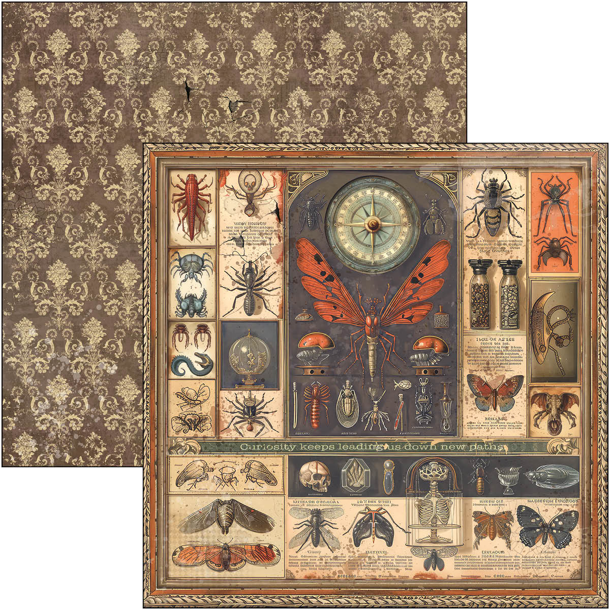 Cabinet Of Curiosities Paper Pad 12"x12" 12/Pkg