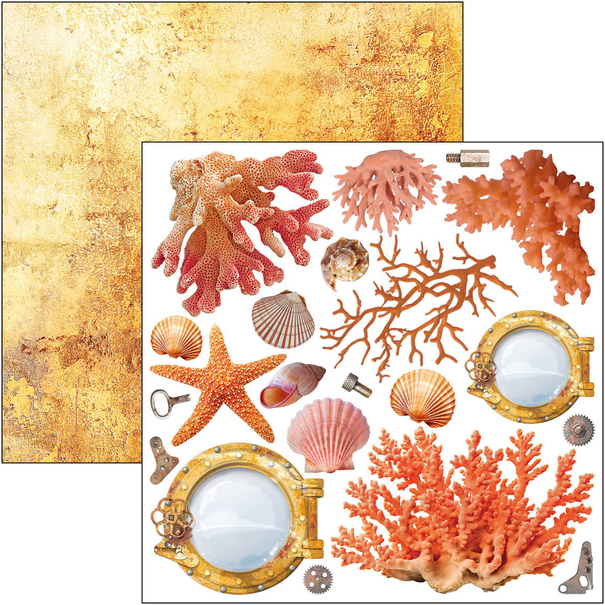 Coral Reef Fussy Cut Pad 6"x6" 24/Pkg