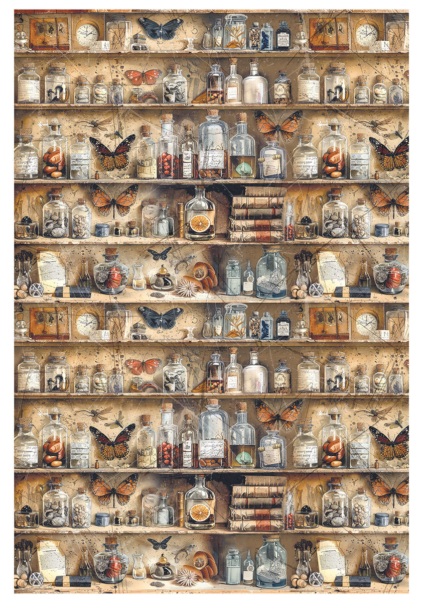 Rice Paper A4 MIXED 4/Pkg Cabinet Of Curiosities