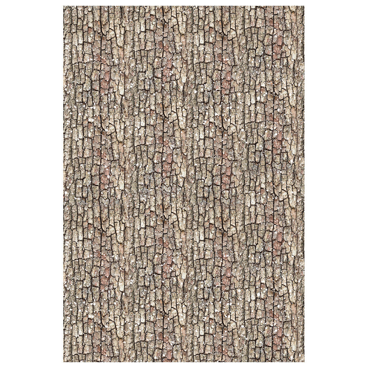 Rice Paper A4 MIXED 4/Pkg Forest Tales