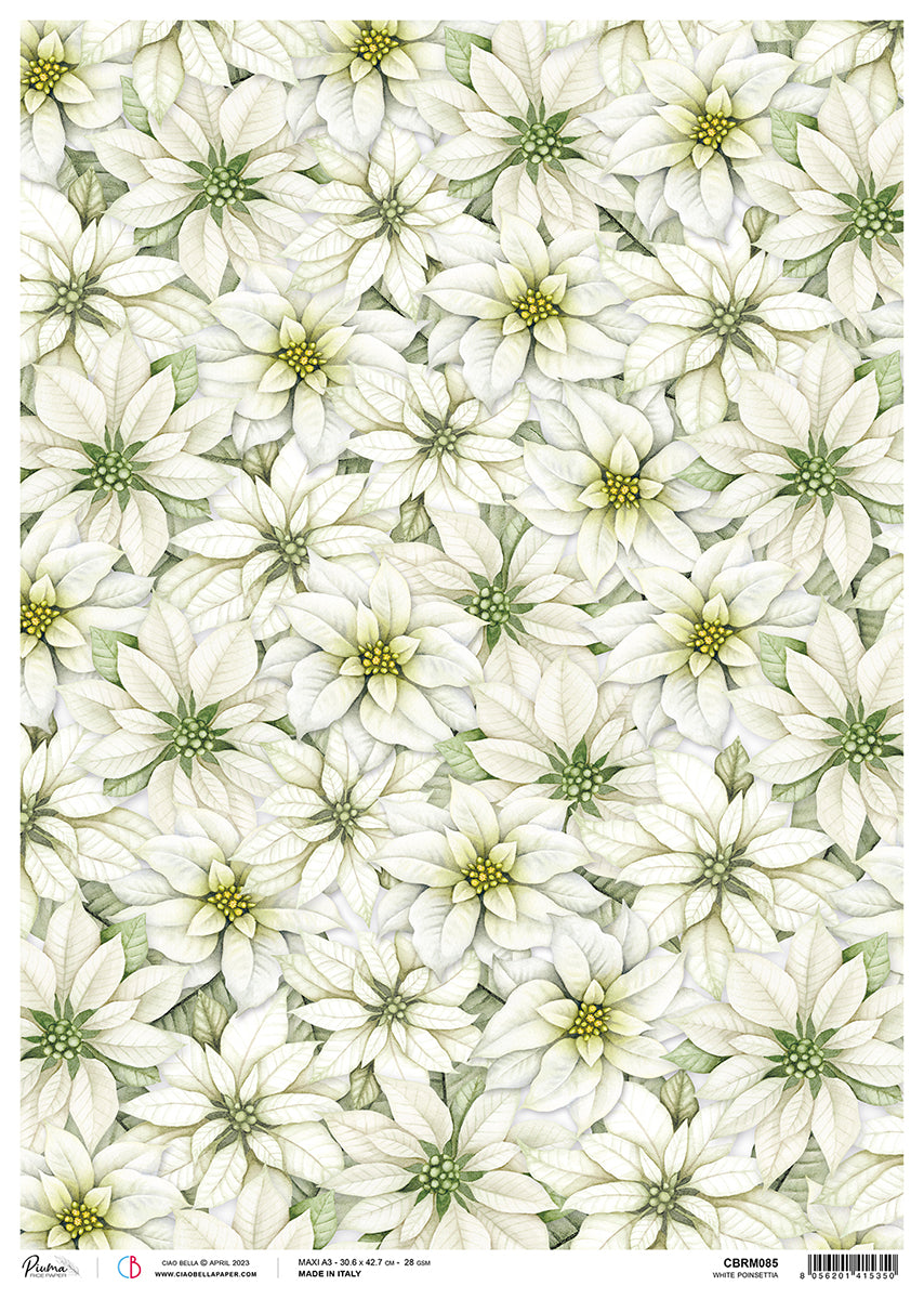 Ciao Bella Rice Paper A3 Piuma White Poinsettia - 3 Sheets