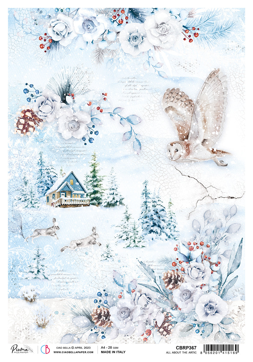 Ciao Bella Rice Paper A4 Piuma All About The Arctic - 5 Sheets