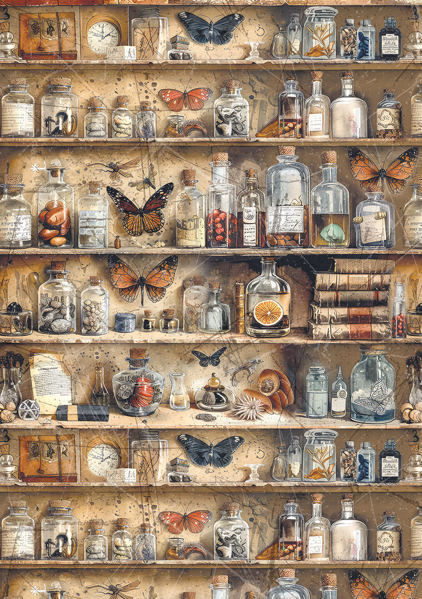 Rice Paper A5 MIXED 8/Pkg Cabinet Of Curiosities