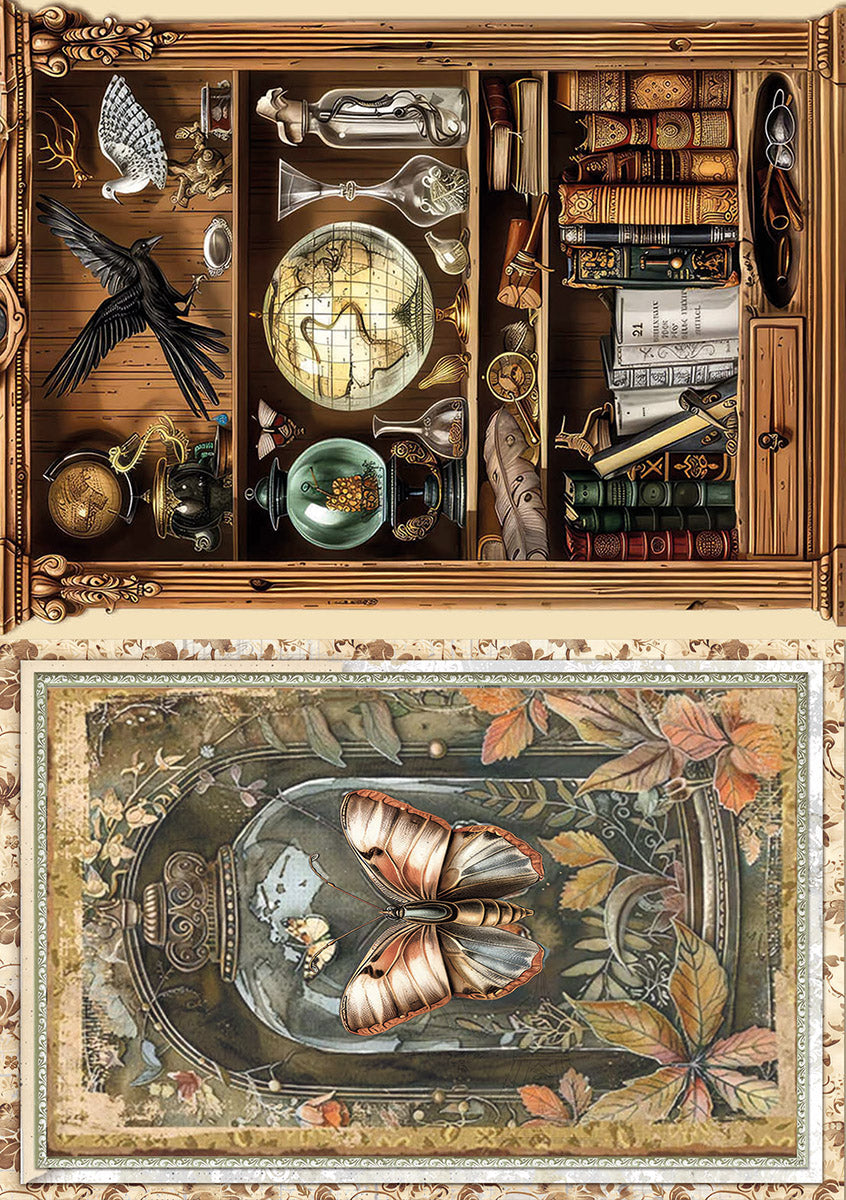Rice Paper A5 MIXED 8/Pkg Cabinet Of Curiosities