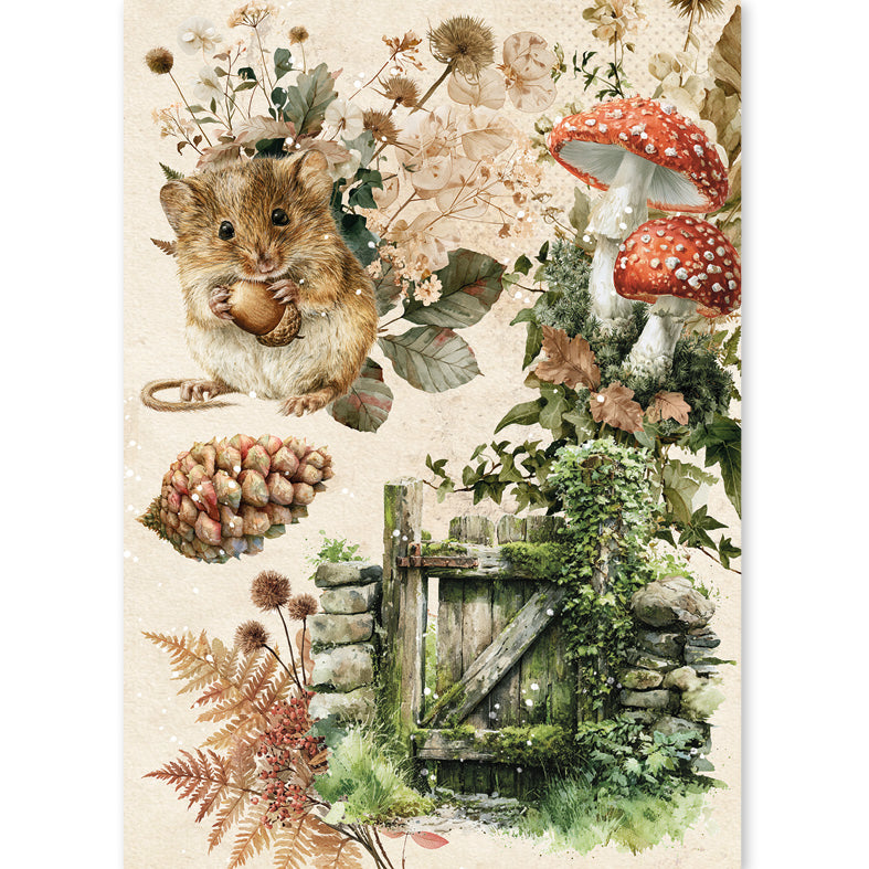 Rice Paper A5 MIXED 8/Pkg The Nature Journal