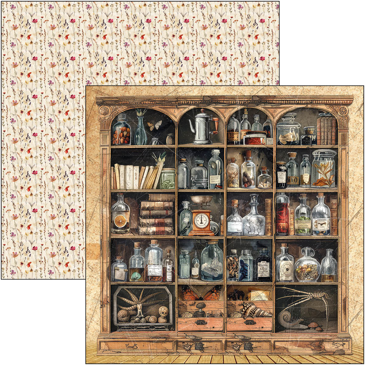 Cabinet Of Curiosities Patterns Pad 12"x12" 8/Pkg