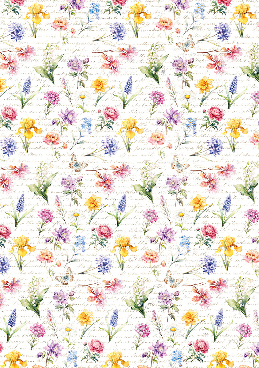 Vellum Flower Shop Paper Patterns A4 6/Pkg