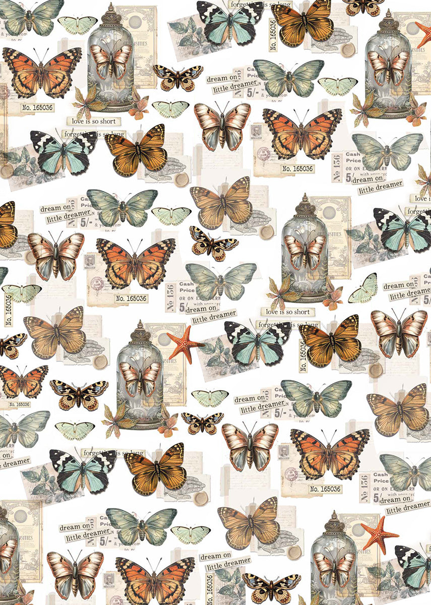 Vellum Cabinet Of Curiosities Paper Patterns A4 6/Pkg