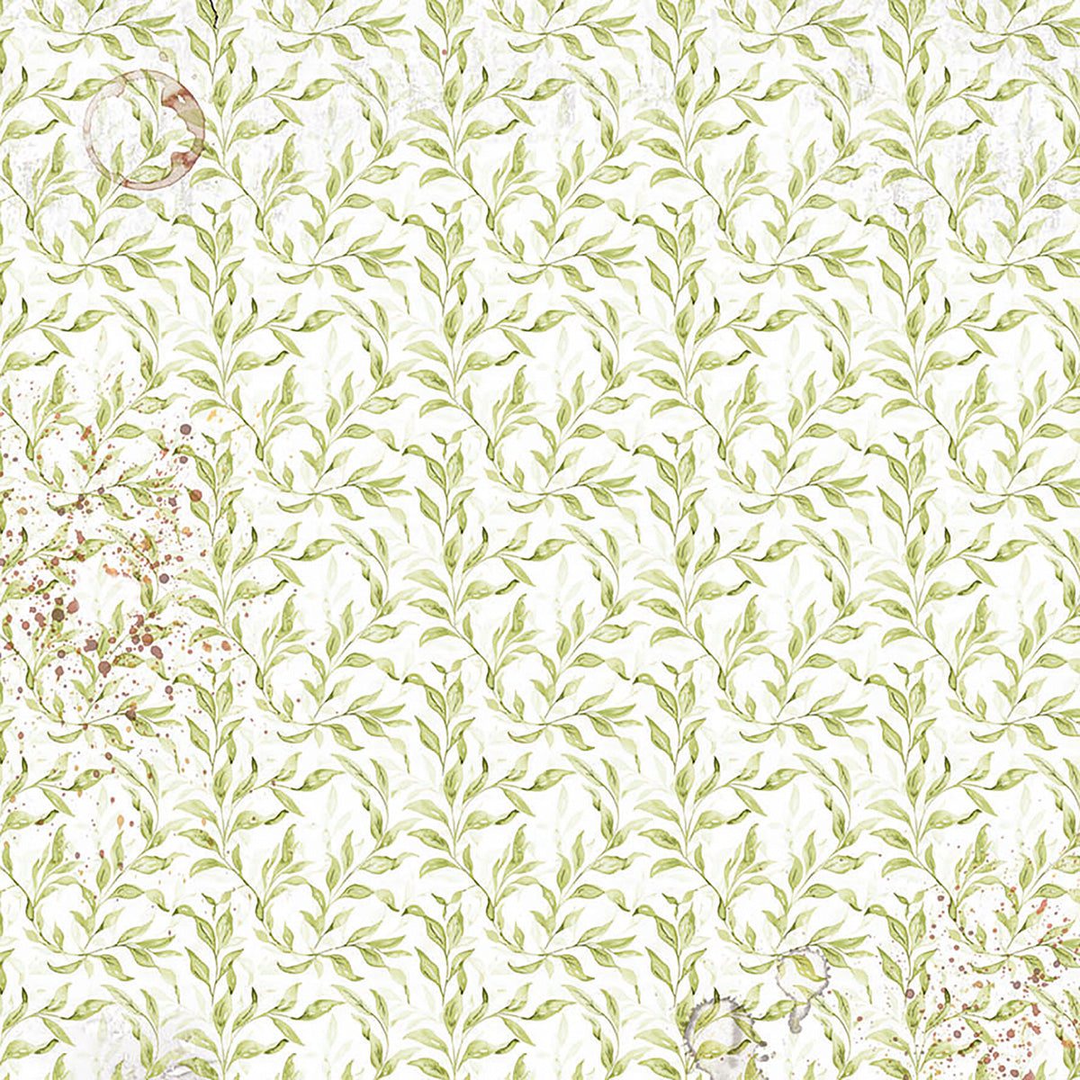 Vellum Cabinet Of Curiosities Fussy Cut 6"x6" 6/Pkg