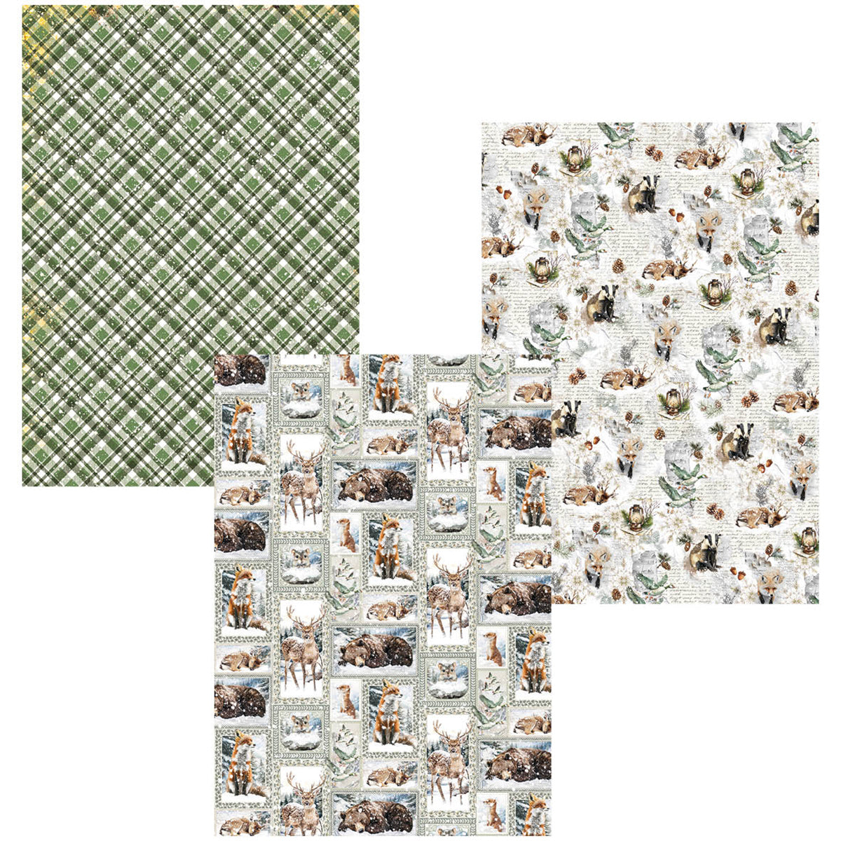 Deluxe Paper Silver & Vellum Dual Pack A4 MIXED 6/Pkg Forest Tales