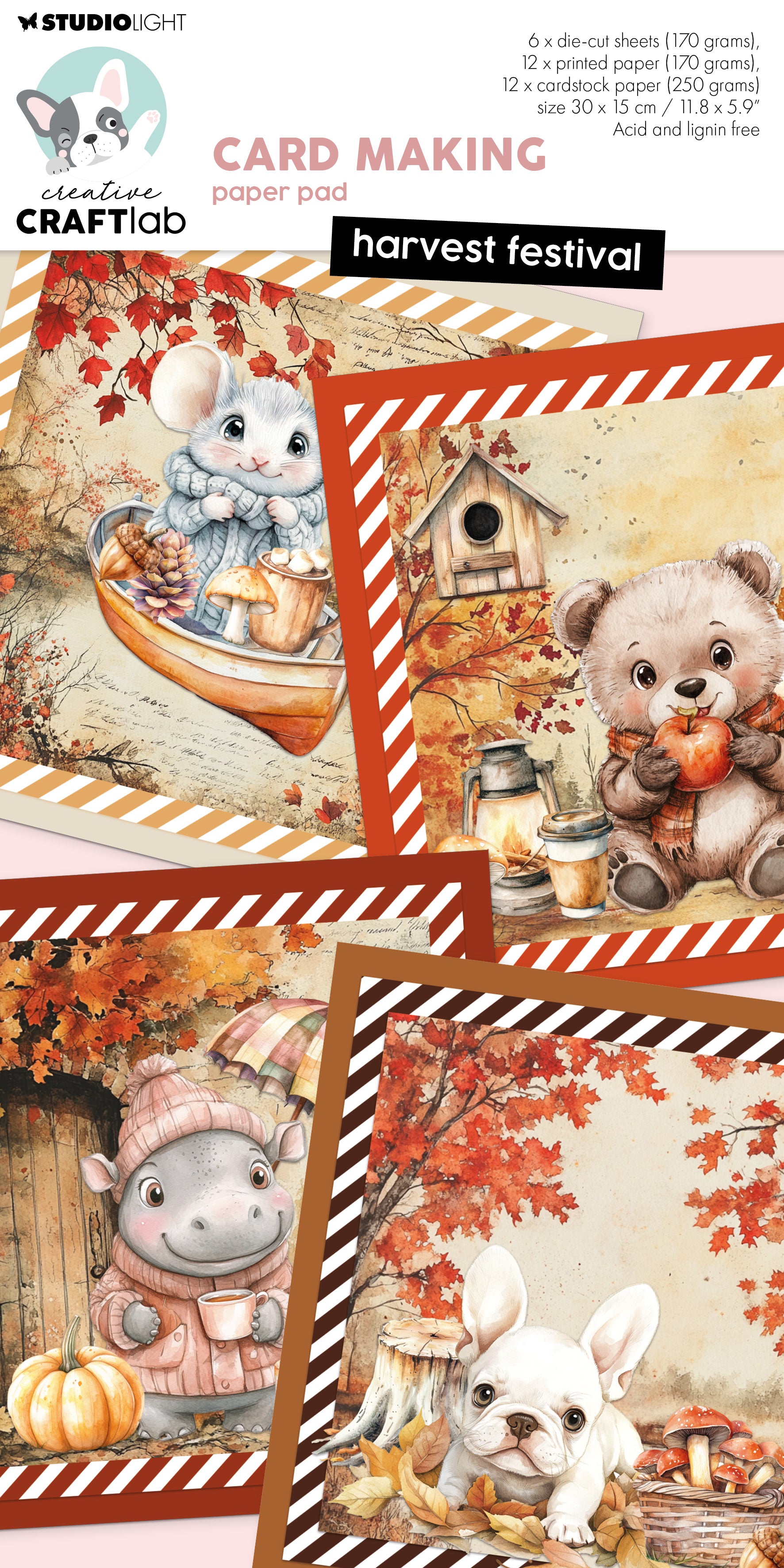 CCL Card Making Pad Harvest Festival Essentials 30 Sheets