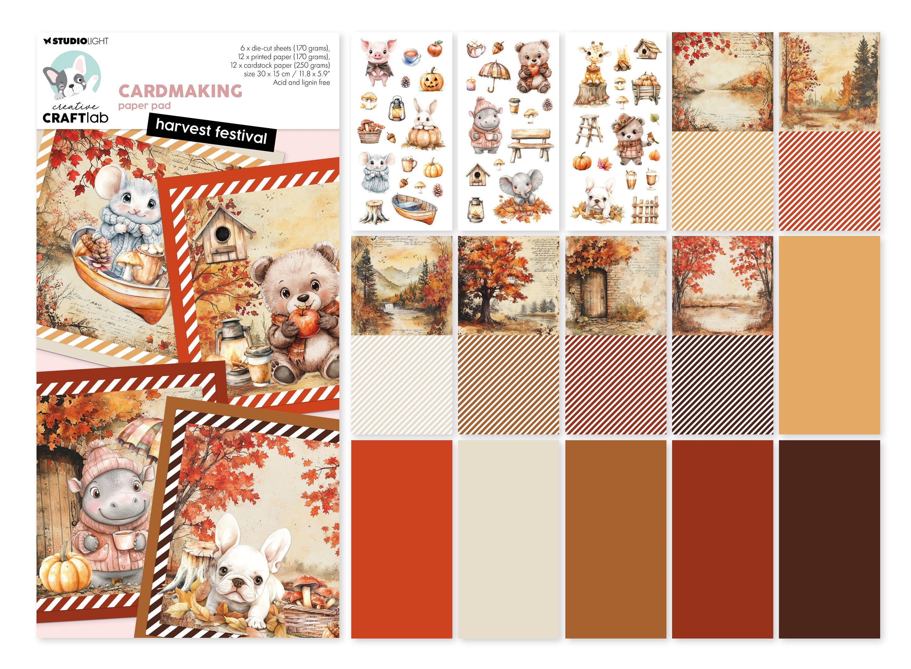 CCL Card Making Pad Harvest Festival Essentials 30 Sheets