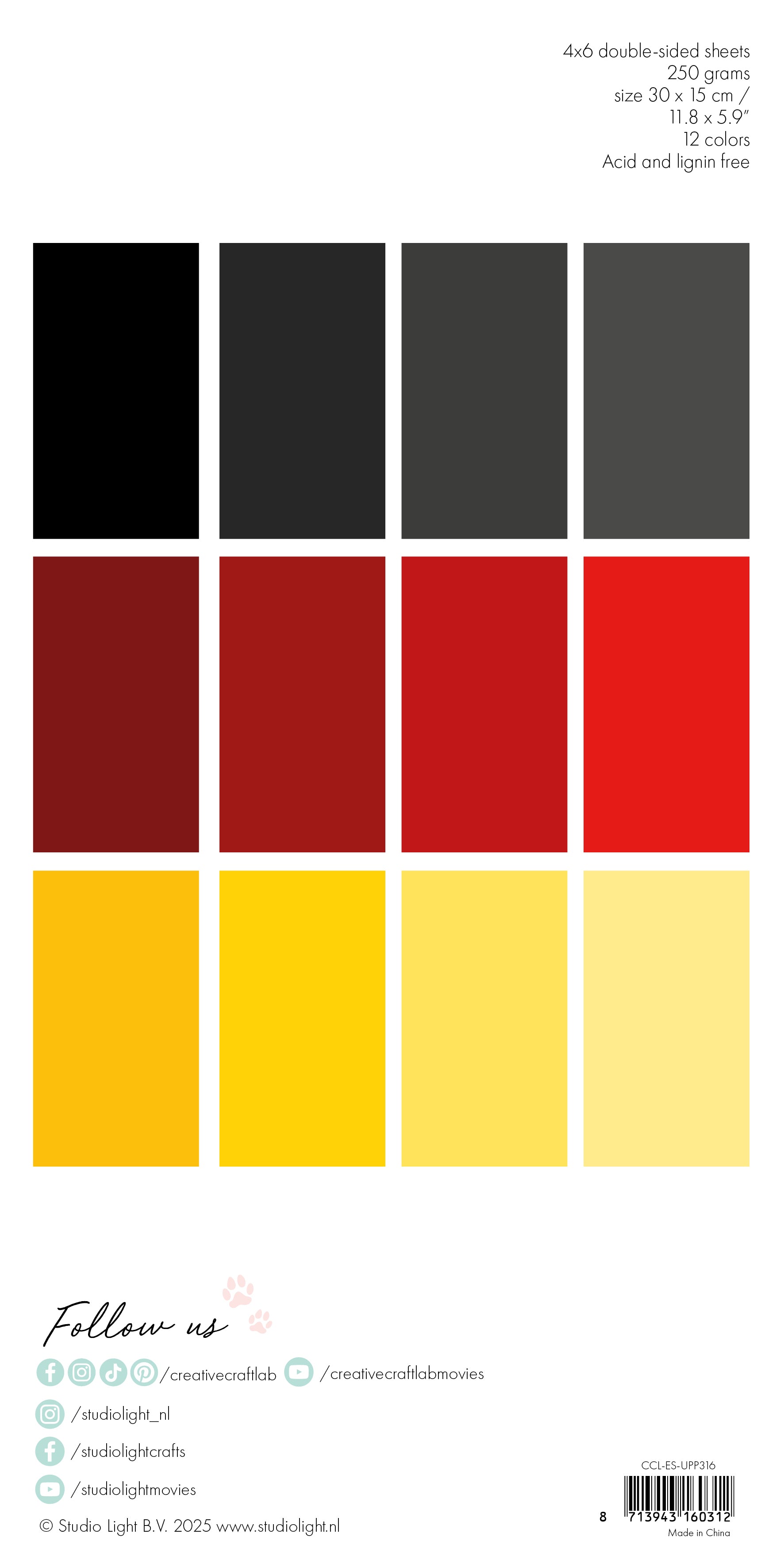 CCL Unicolor Paper Pad Bees & Bugs Essentials 24 Sheets