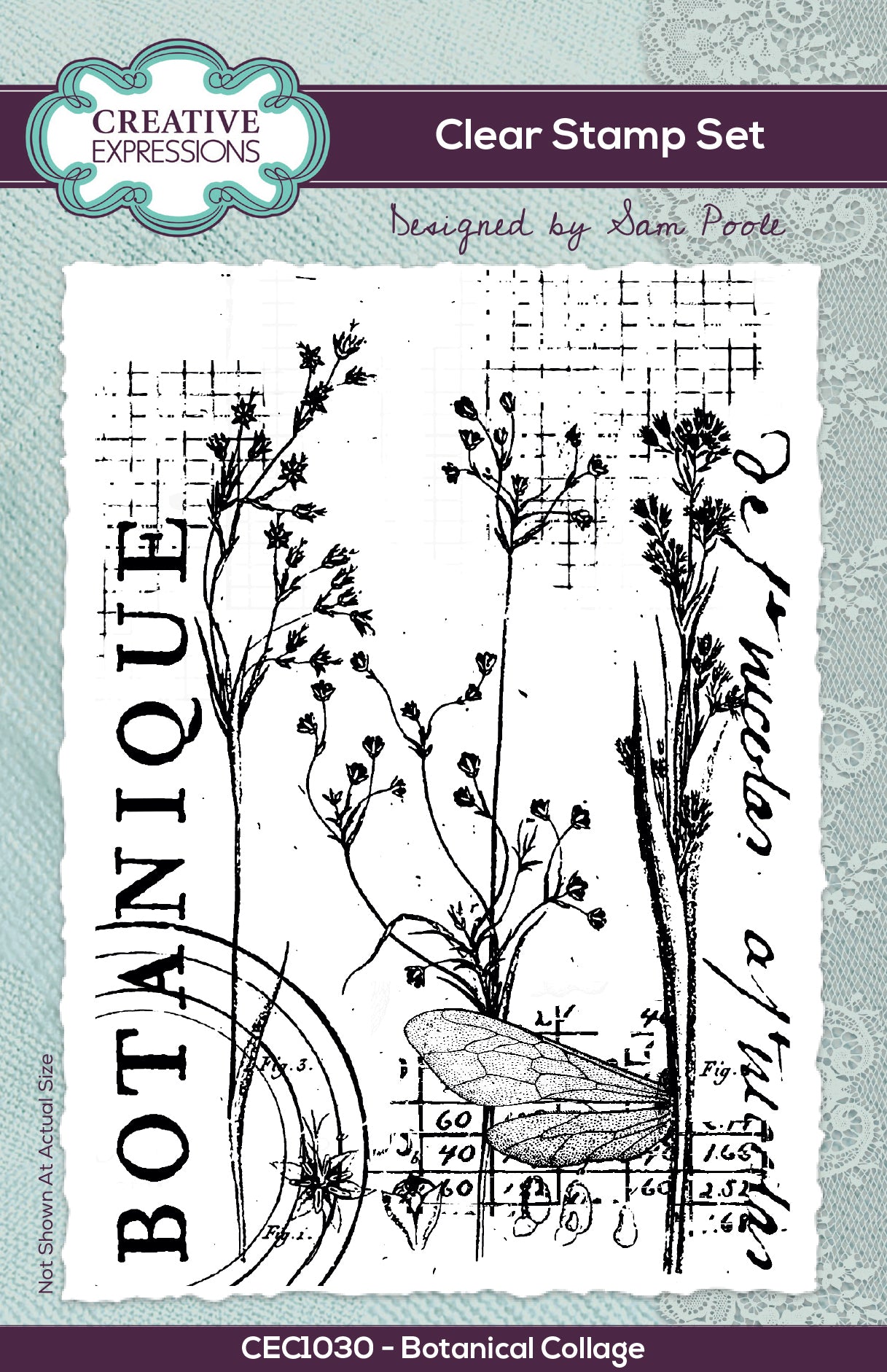 Creative Expressions Sam Poole Botanical Collage 6 in x 4 in Clear Stamp Set