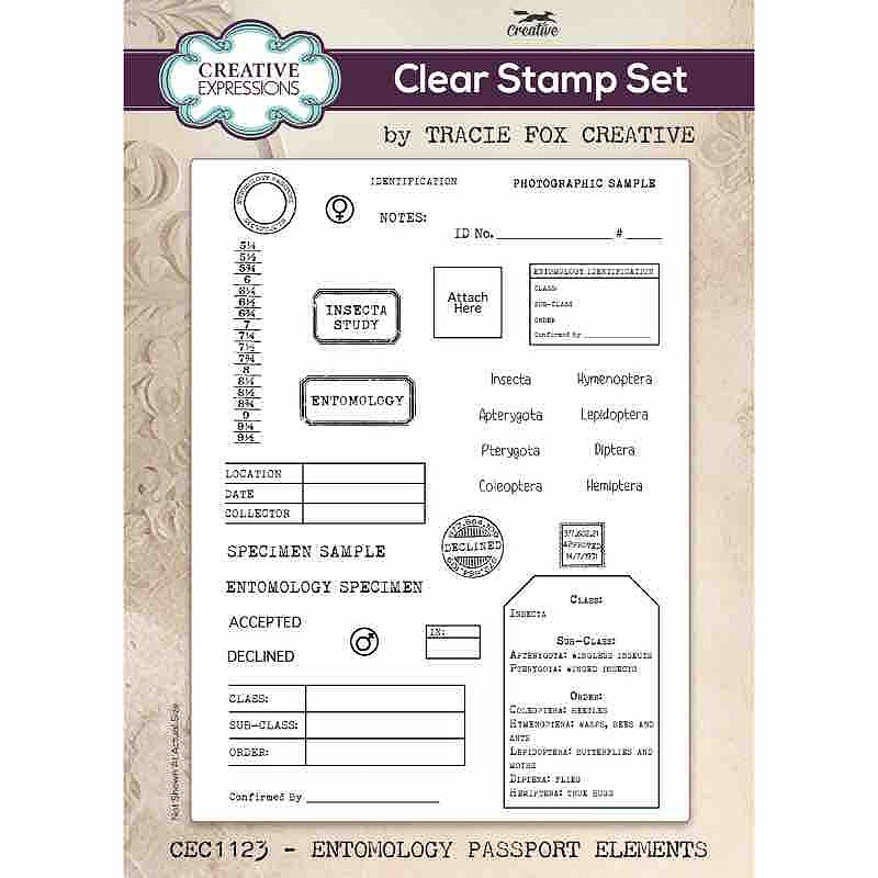 Creative Expressions Tracie Fox Entomology Passport Elements 6 in x 8 in Clear Stamp Set