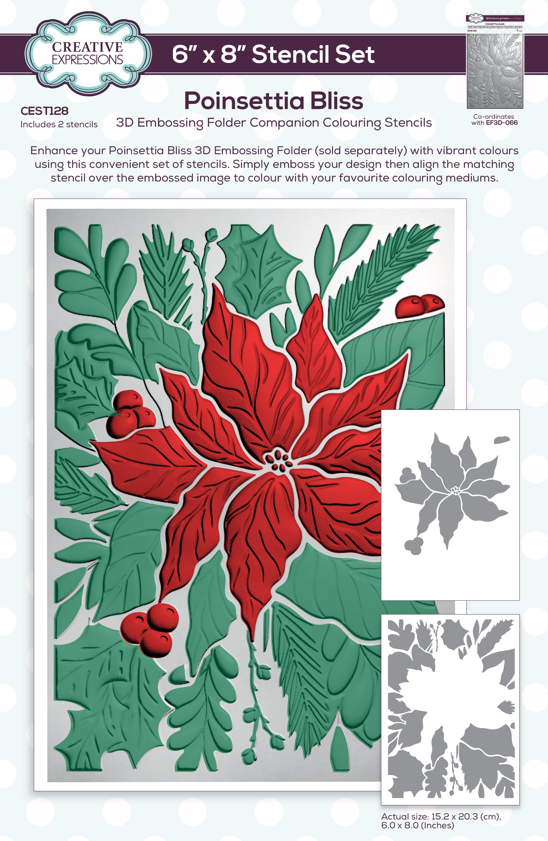 Creative Expressions Poinsettia Bliss Companion Colouring Stencil Set 6 in x 8 in 2pk