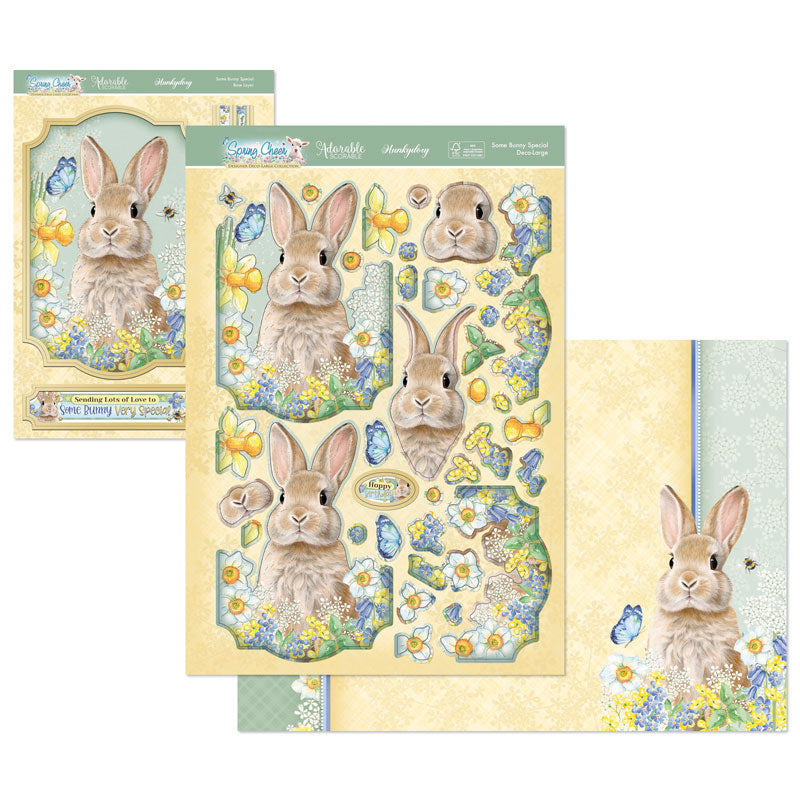 Spring Cheer Deco-Large Set - Some Bunny Special