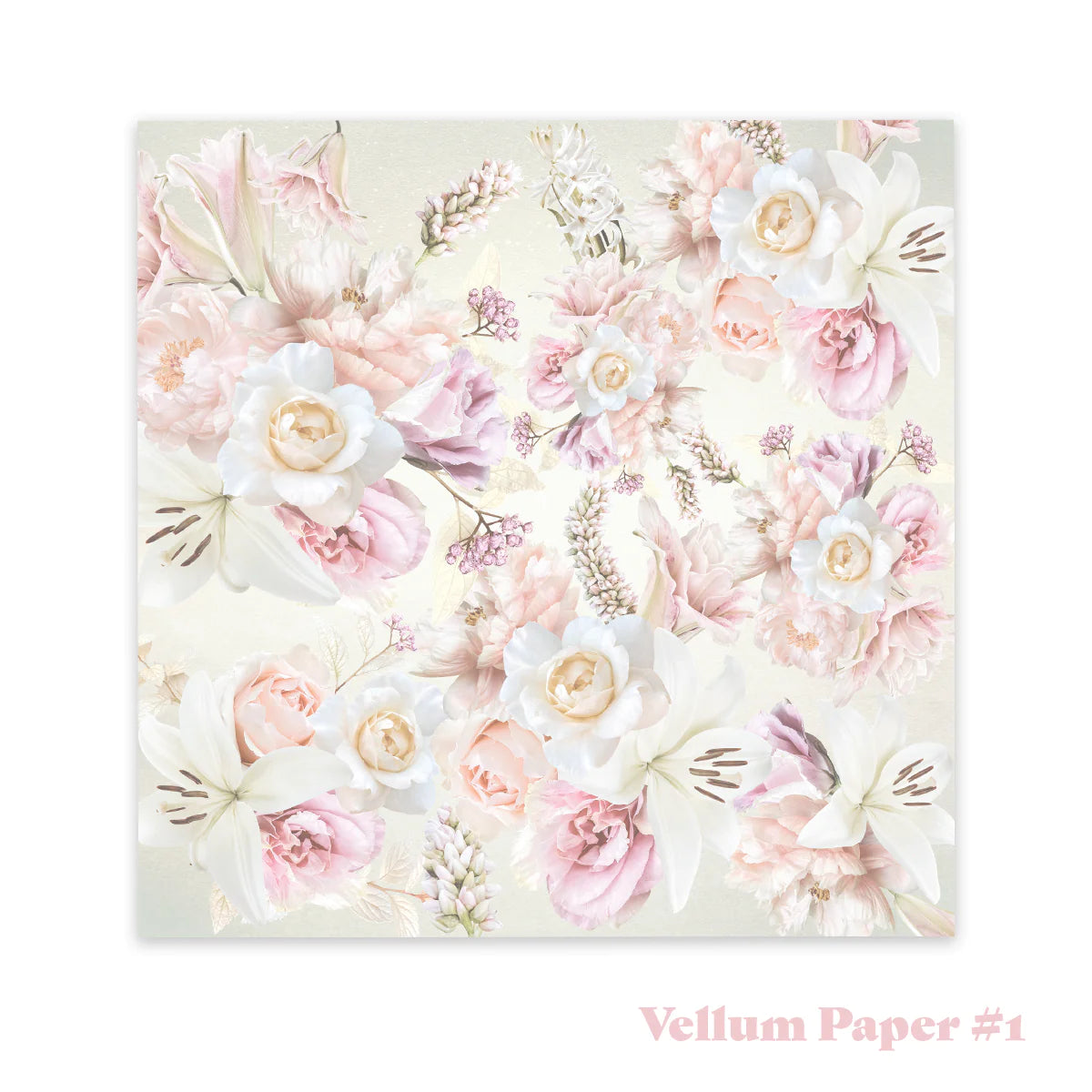 Vintage Tea Collection - 8in x 8in Vellum Paper