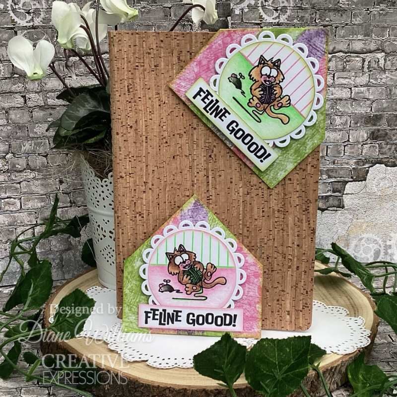 Creative Expressions Designer Boutique Collection Feline Good! 6 in x 8 in Clear Stamp Set