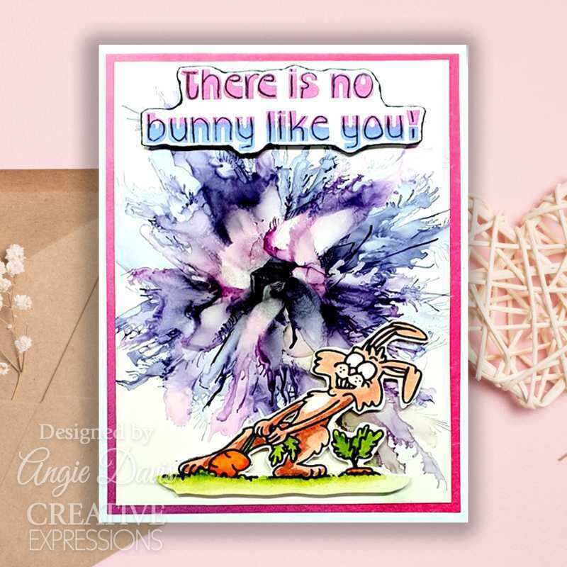 Creative Expressions Designer Boutique Collection No Bunny Like You 6 in x 8 in Clear Stamp Set