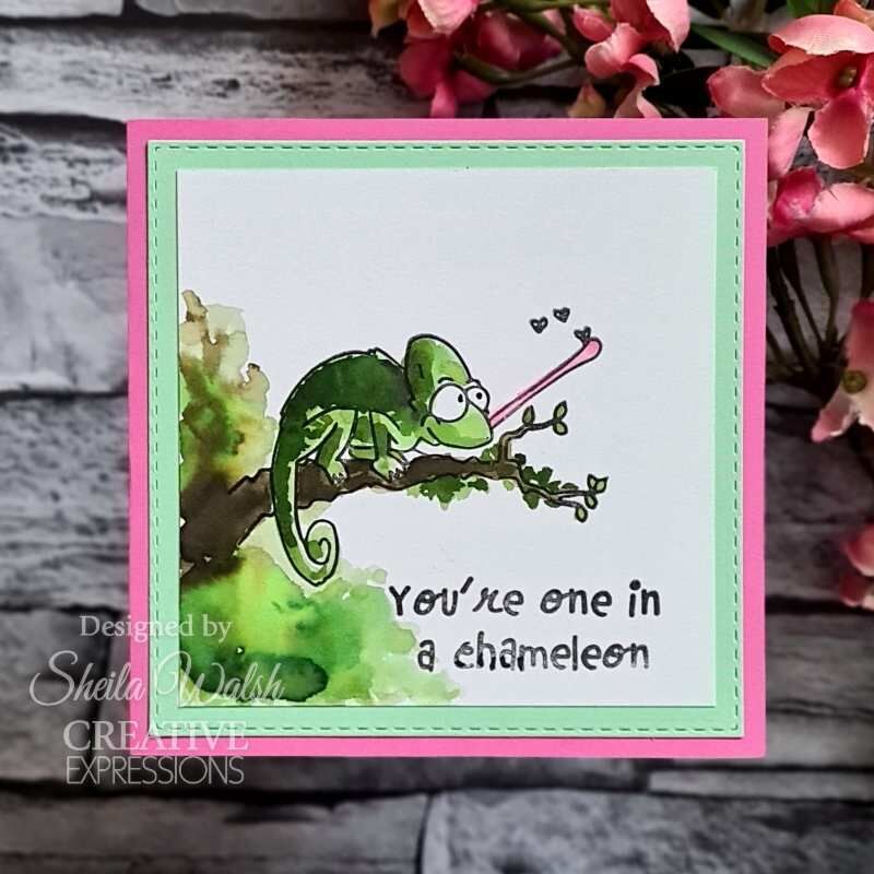 Creative Expressions Designer Boutique Collection One In a Chameleon 6 in x 8 in Clear Stamp Set