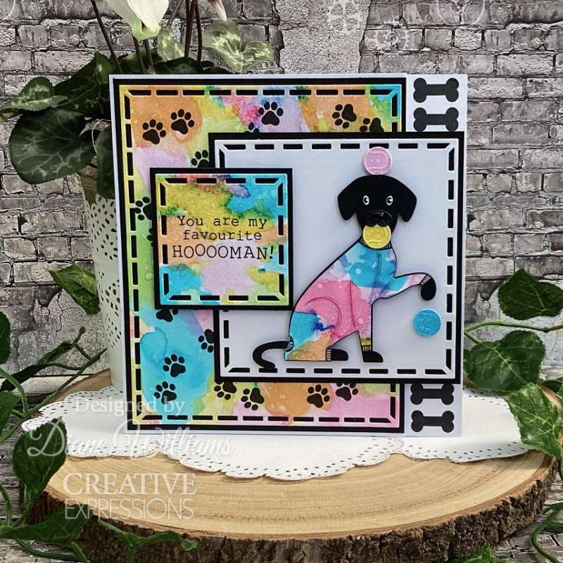 Creative Expressions Sue Wilson Pet Pals Bailey Craft Die