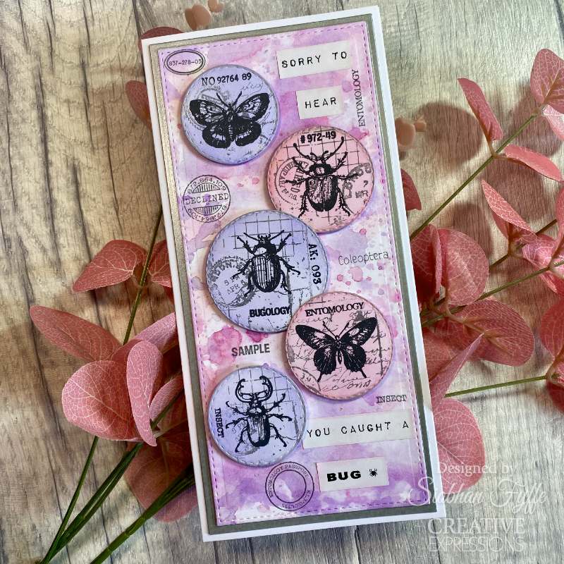 Creative Expressions Tracie Fox Entomology Passport Elements 6 in x 8 in Clear Stamp Set