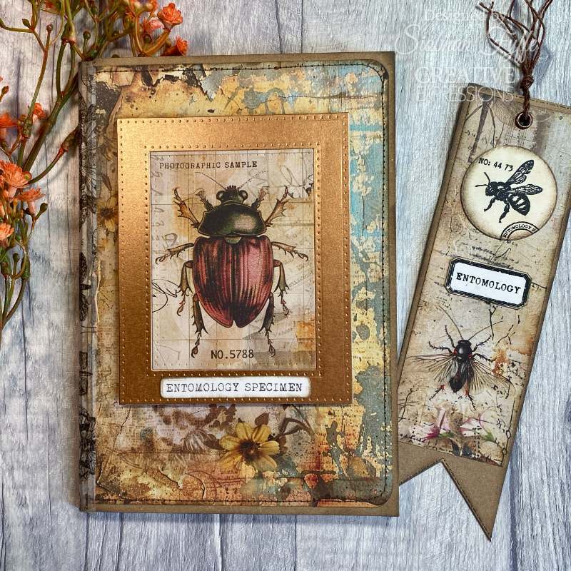 Creative Expressions Tracie Fox Entomology Passport Elements 6 in x 8 in Clear Stamp Set